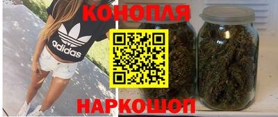 ешки Кингисепп