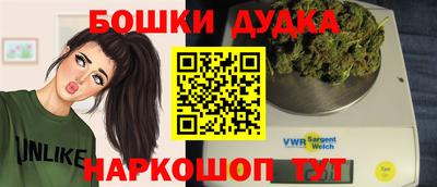 ешки Кингисепп