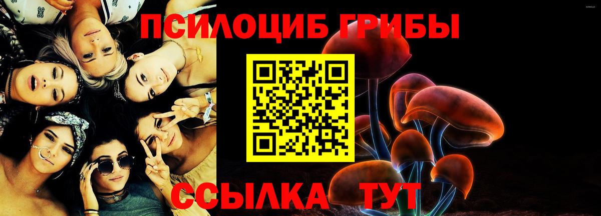 Галлюциногенные грибы мухоморы Касимов